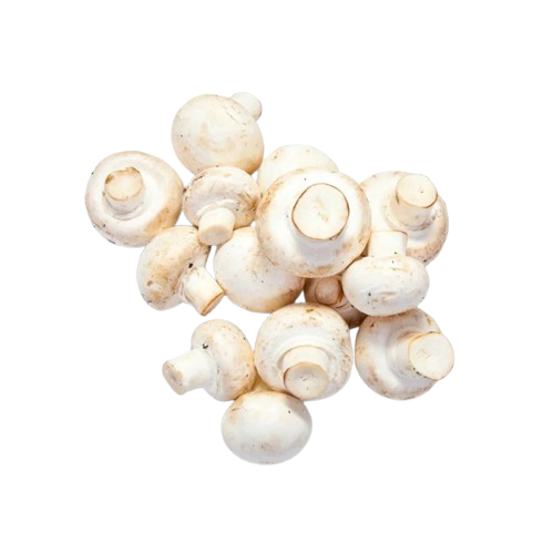 mushrooms-removebg-preview.png